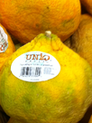 catering software ugli fruit